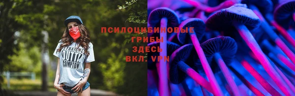 альфа пвп Михайловск
