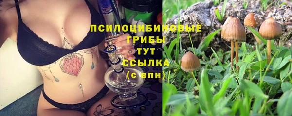 альфа пвп Михайловск