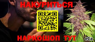 стаф Волгодонск