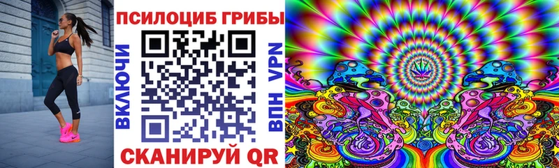 Псилоцибиновые грибы ЛСД  купить закладку  Фролово 