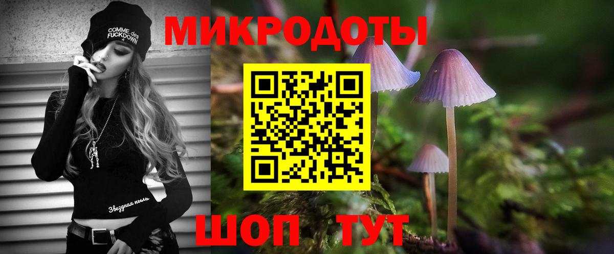 Галлюциногенные грибы Psilocybe Фролово